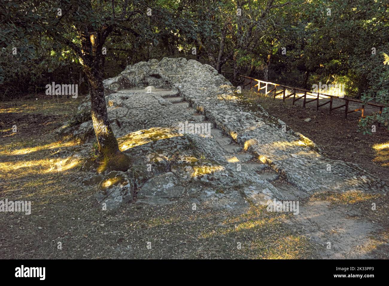 Le 'Pulpito del Re', des marches sculptées dans le rocher des Bois de Ficuzza en Sicile, en Italie Banque D'Images