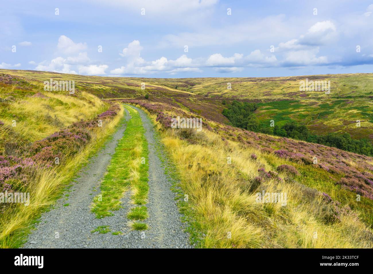 Sentier sur l'ancienne ligne de chemin de fer qui mène à Rosedale Head dans le parc national des Moors du Yorkshire du Nord. Banque D'Images