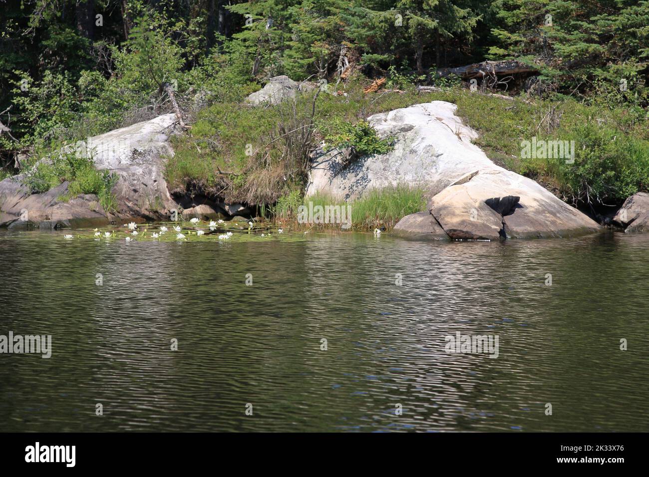 Chapleau - chaîne des lacs / Chapleau - chaîne des lacs / Banque D'Images