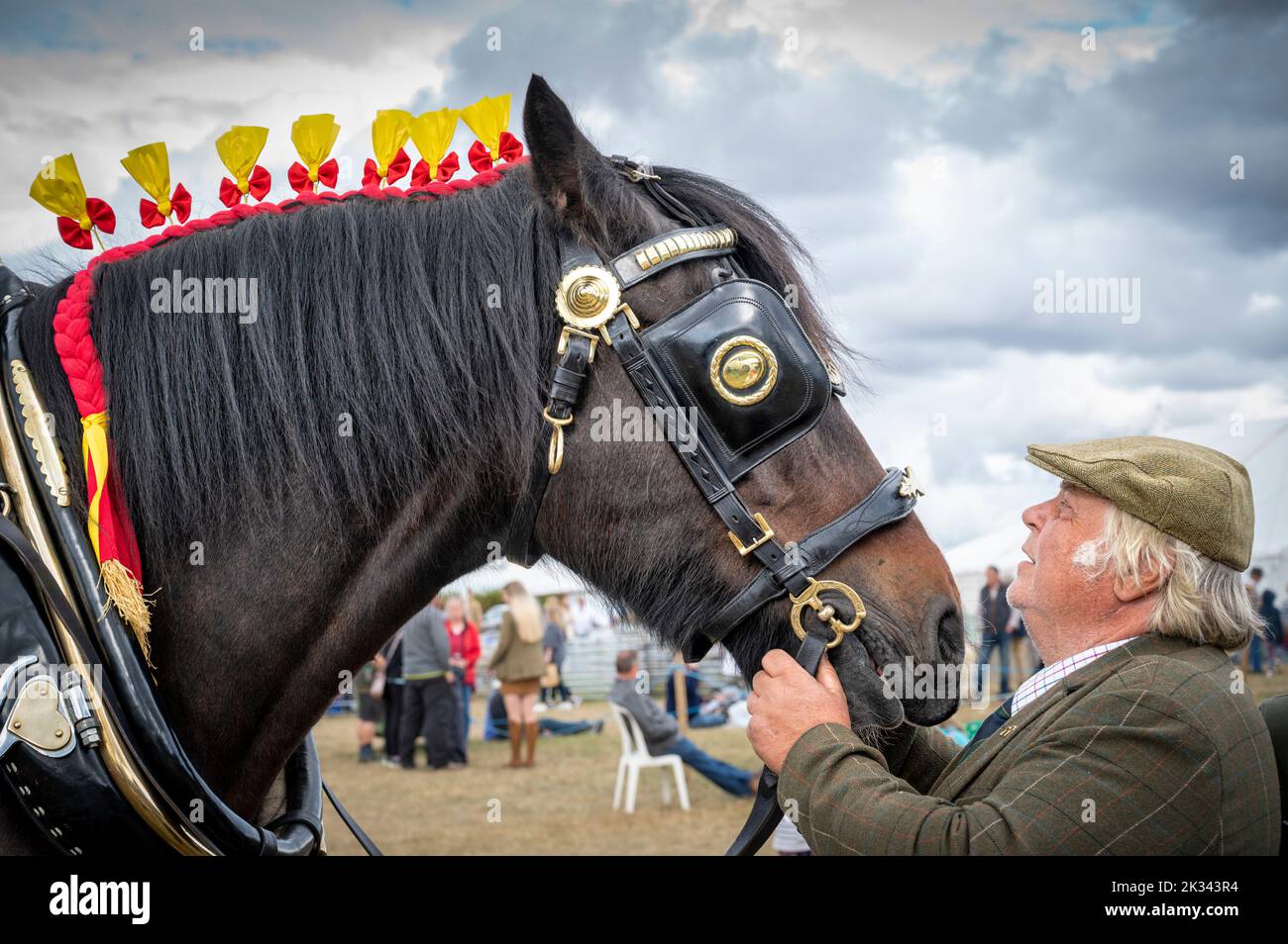 Great Gransden Cambridgeshire, Royaume-Uni. 24th septembre 2022. Paul Smith présente un cheval de Shire appelé Jack au salon de la Société agricole de Gransden et de district. Jack a 9 ans et a plus de 18 mains est l'un des chevaux shire les plus hauts du Royaume-Uni. À ce spectacle, il tire une charrette de foin de Suffolk construite dans les années 1930. Crédit : Julian Eales/Alay Live News Banque D'Images