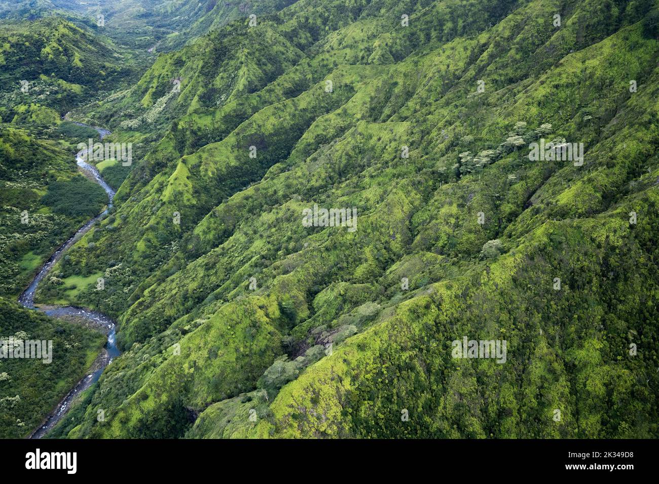 Vue aérienne Hanalei Valley, Kauai, Hawaii, Etats-Unis, Amérique du Nord Banque D'Images