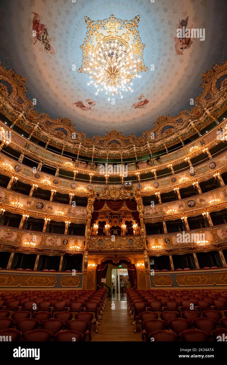 Vue intérieure, théâtre, Teatro la Fenice, Venise, Vénétie, Italie Banque D'Images