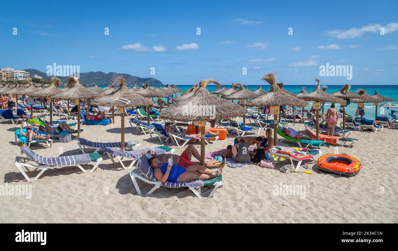 Plage animée Playa de Sant Llorenc avec parasols, Cala Millor, Majorque, Espagne Banque D'Images
