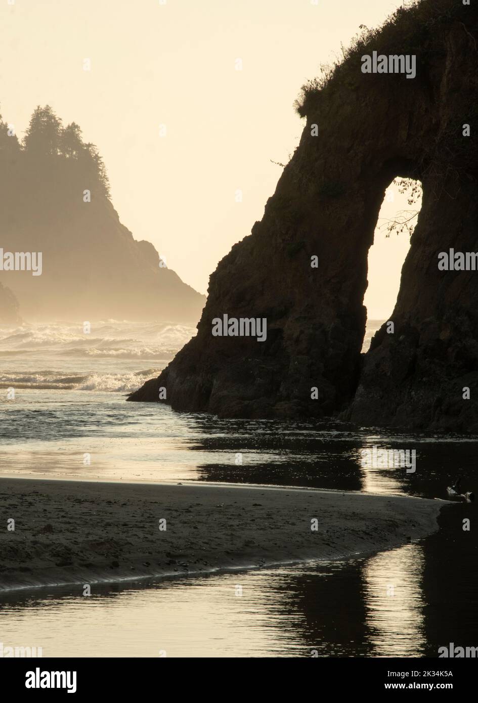 Arche naturelle et côte sauvage, Neskowin, Oregon Coast Banque D'Images