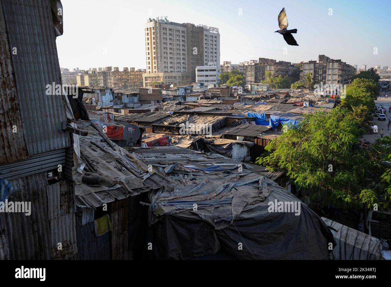 11.12.2011, Mumbai, Maharashtra, Inde, Asie - vue en hauteur des habitations simples et des cabanes en manille dans le bidonville de Dharavi à Mumbai. Banque D'Images