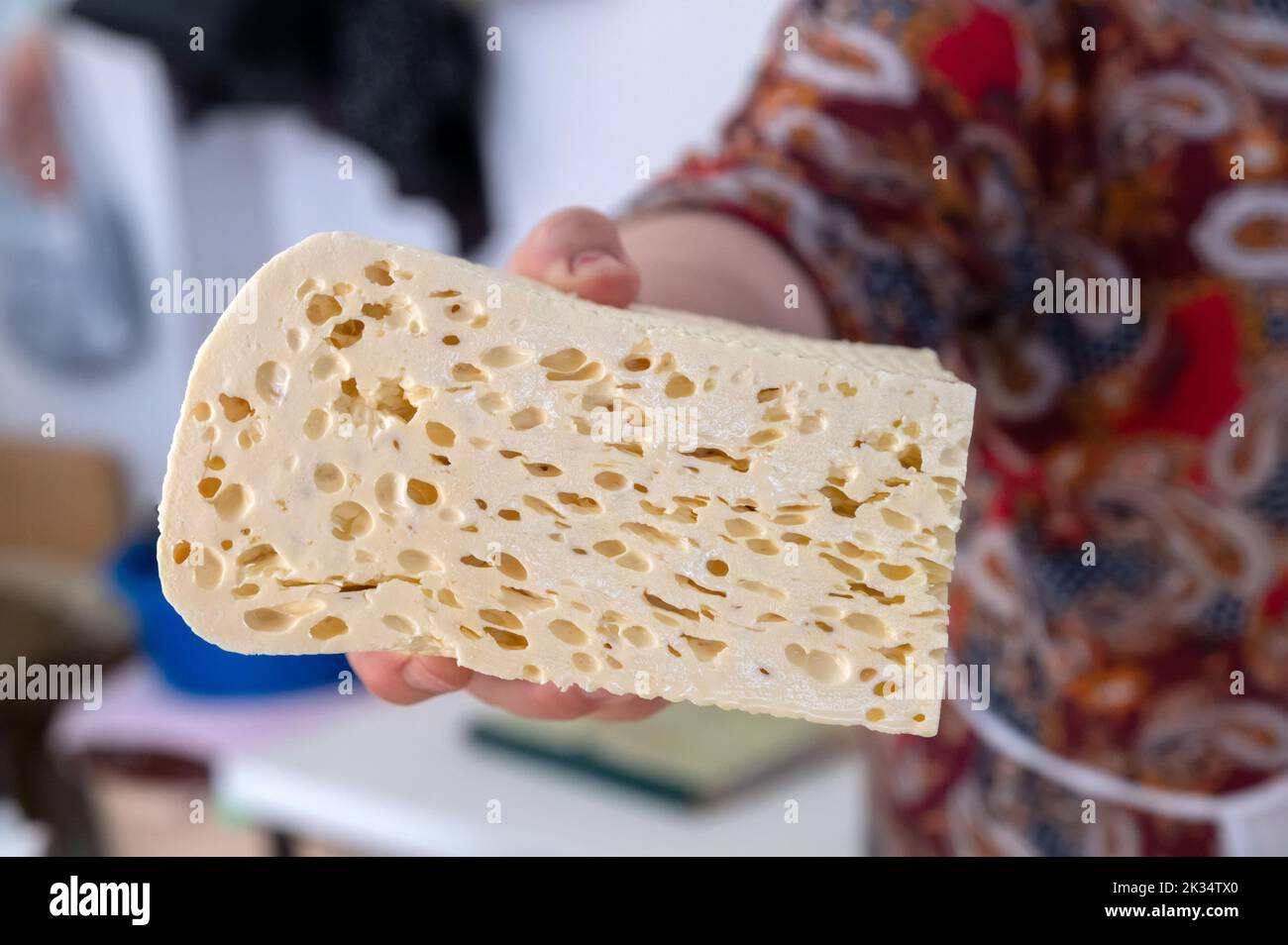 Vue rapprochée des délicieux fromages de type caucasien ou balkanique faits maison sur le marché Banque D'Images