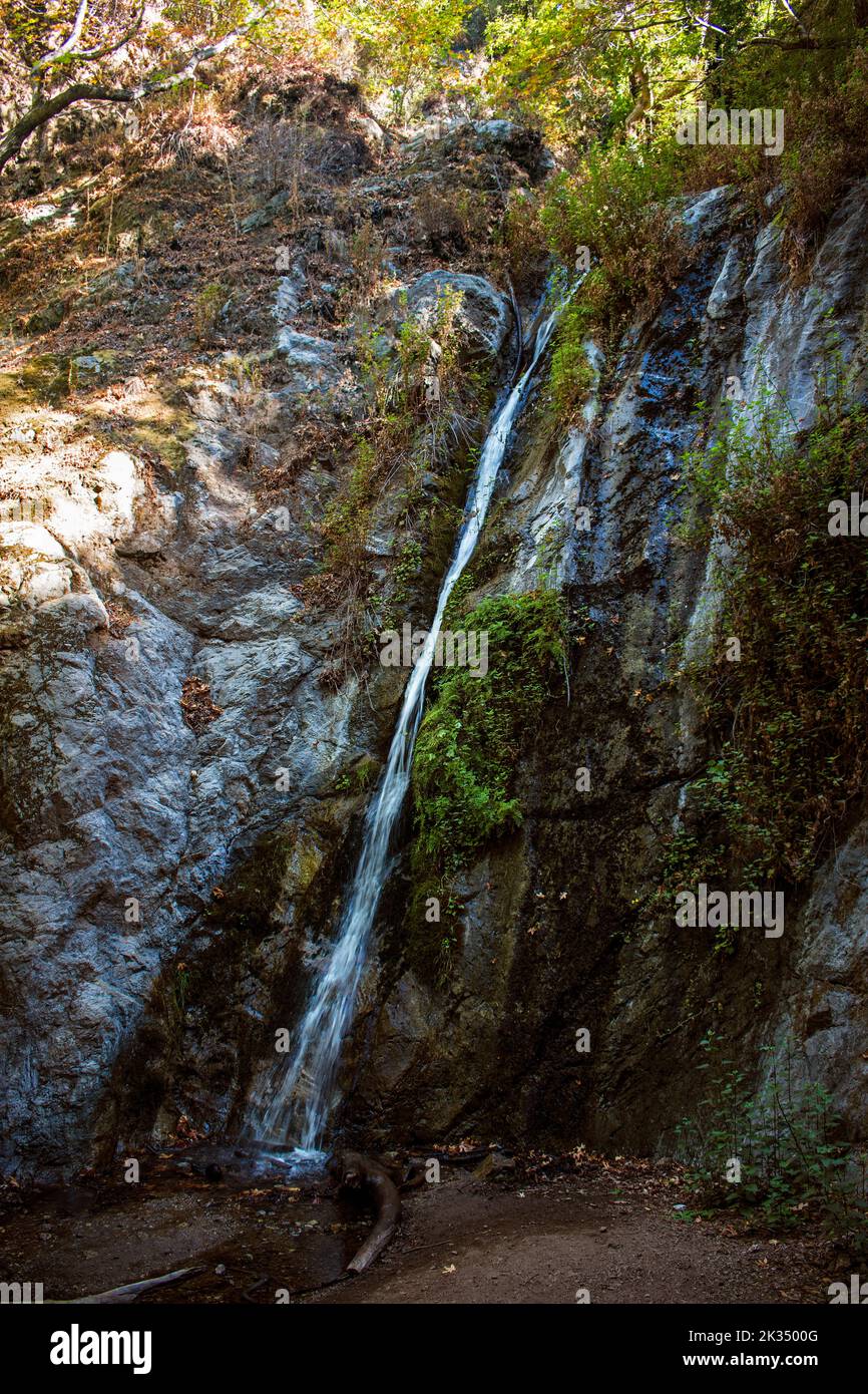 Pfeiffer Big Sur State Park, Big Sur, Californie, USA Banque D'Images