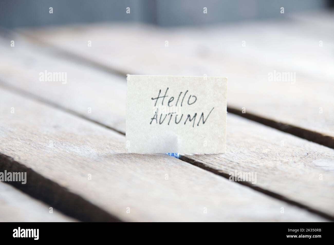 Bonjour automne, concept créatif. L'inscription sur l'étiquette. Banque D'Images