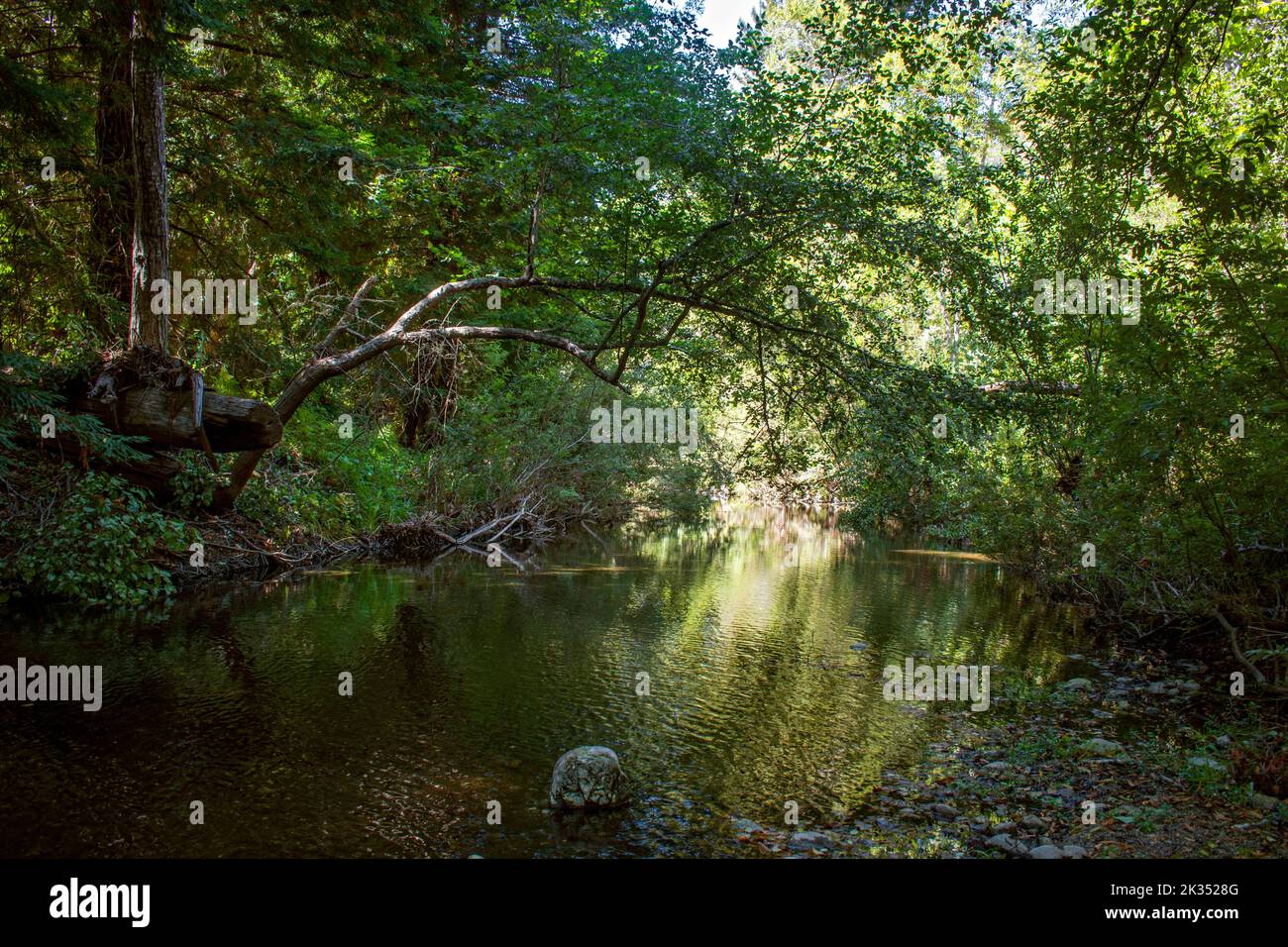 Andrew Molera State Park, Big Sur, Californie, USA Banque D'Images