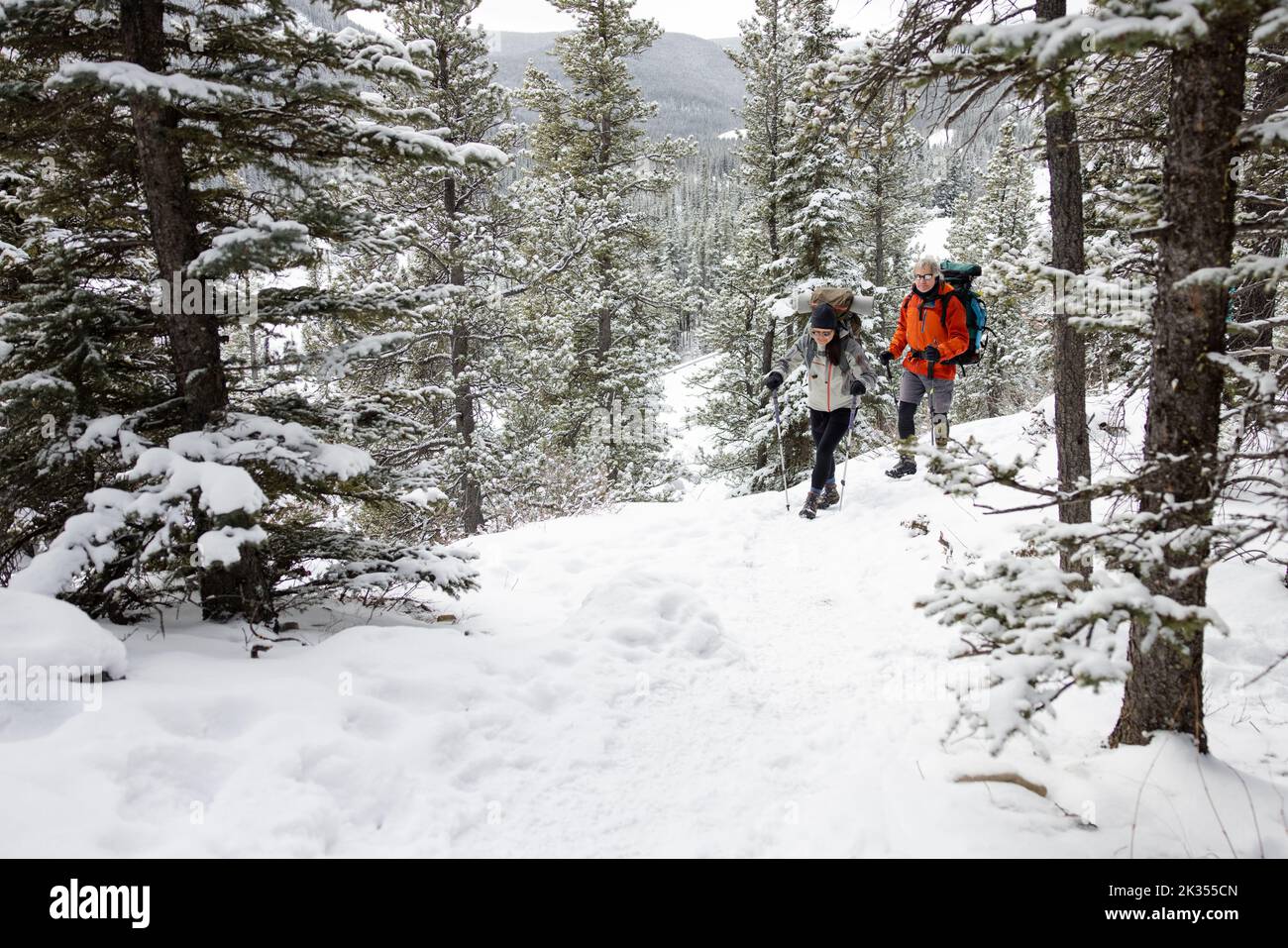 Couple en randonnée d'hiver dans la forêt enneigée Banque D'Images