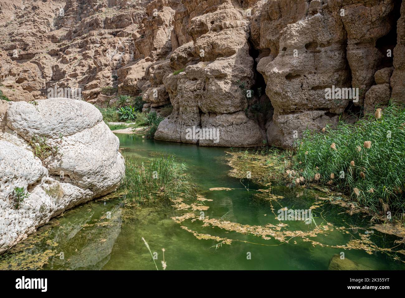 Gorge de Wadi Shab, Oman Banque D'Images
