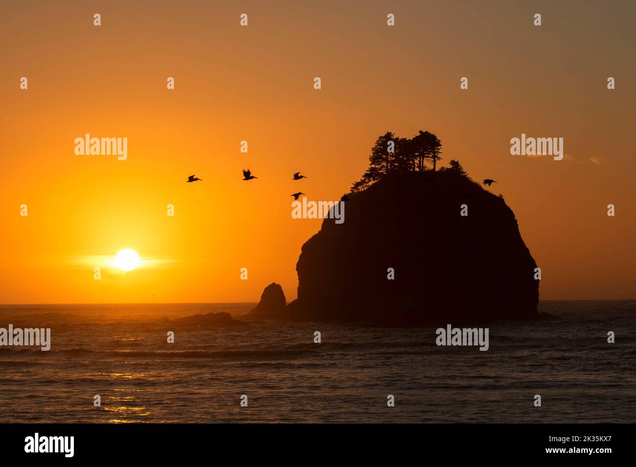 Coucher de soleil sur Little James Island, la Push, Quileute Indian Reservation, Washington Banque D'Images