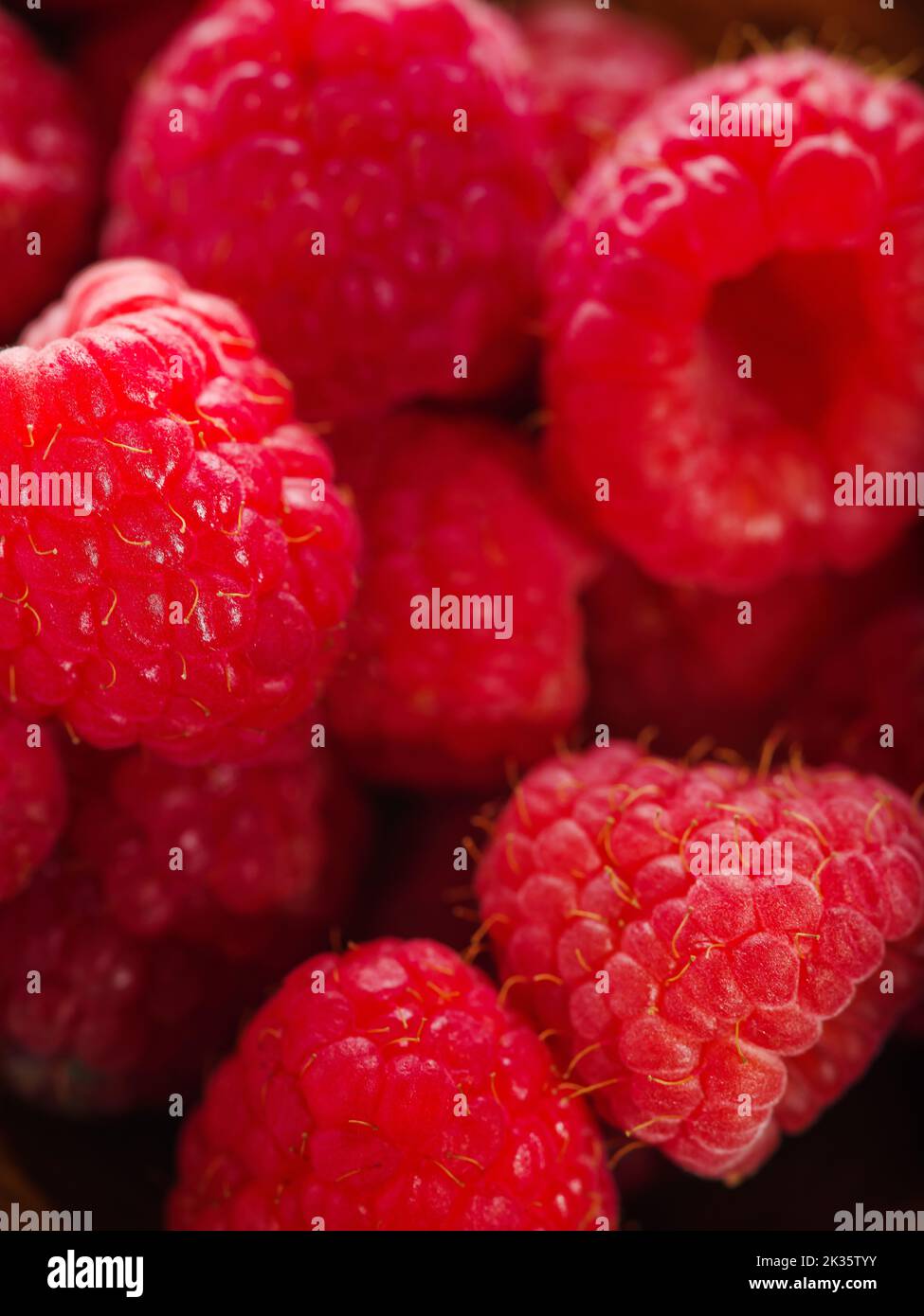 Framboises mûres. Grand groupe d'objets. Gros plan. Vitamines, mode de vie sain. Agriculture et foresterie. Alimentation. Cuisson. Ingrédient pour de nombreux plats. Banque D'Images