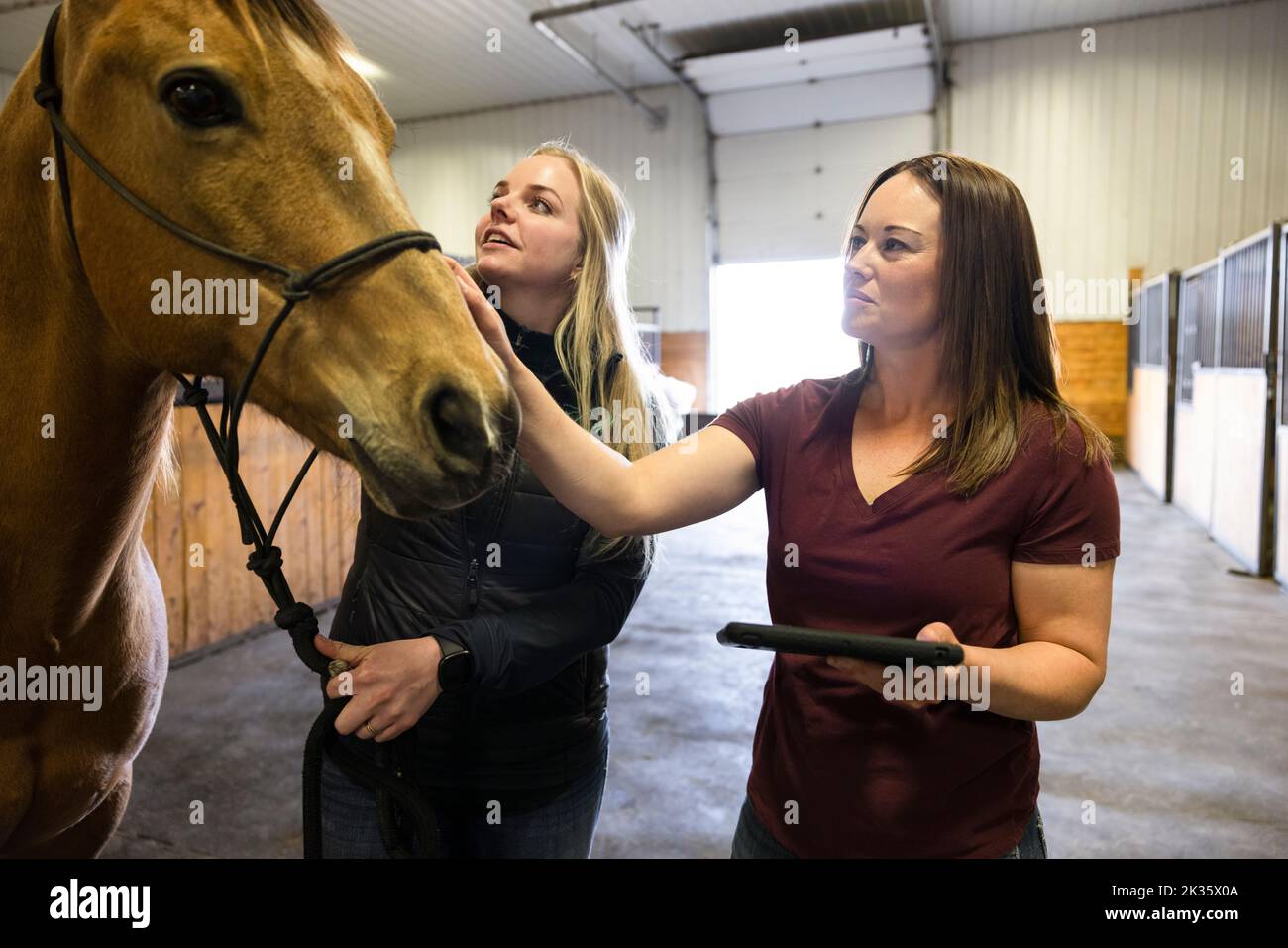 Vétérinaires ruraux Banque de photographies et d'images à haute résolution  - Alamy