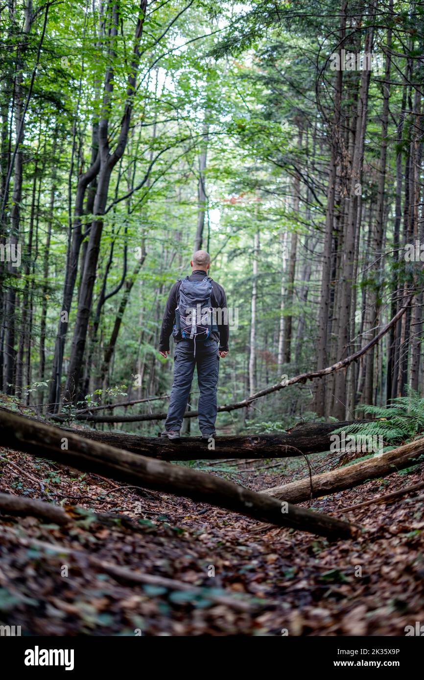 Un alpiniste (randonneur) (non reconnaissable) avec un sac à dos est debout sur un vieux arbre tombé dans la forêt Banque D'Images