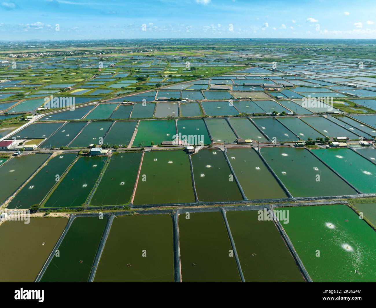 Vue aérienne de la ferme de crevettes de Taïwan Banque D'Images