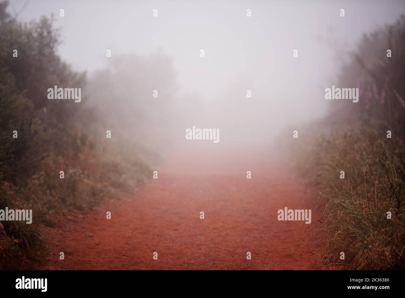Le chemin de... photo panoramique d'un sentier de course le matin d'une brumeuse. Banque D'Images