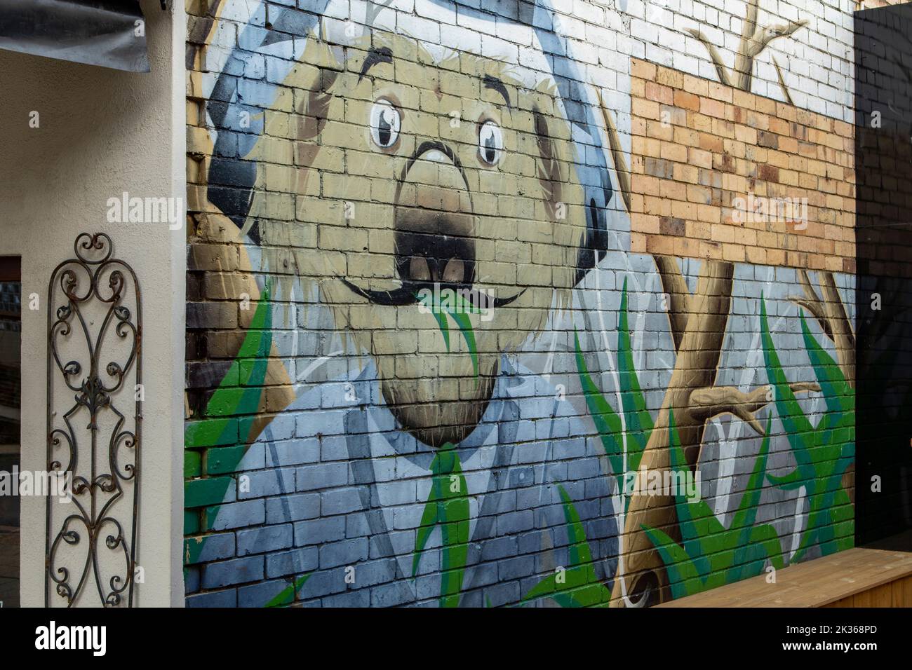 Koala face Street Art, Belgrave, Victoria, Australie Banque D'Images