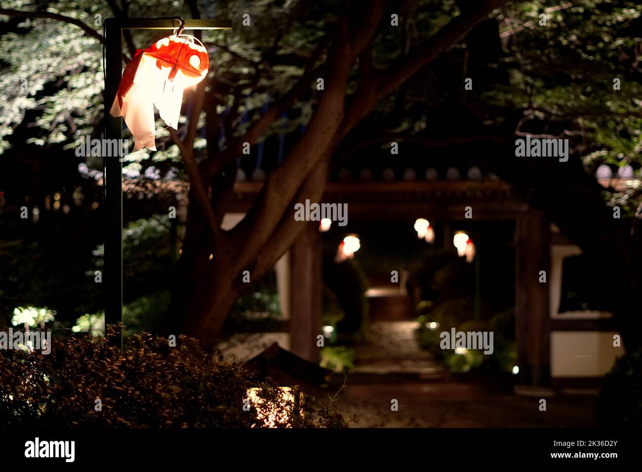 Jardin japonais la nuit Banque D'Images