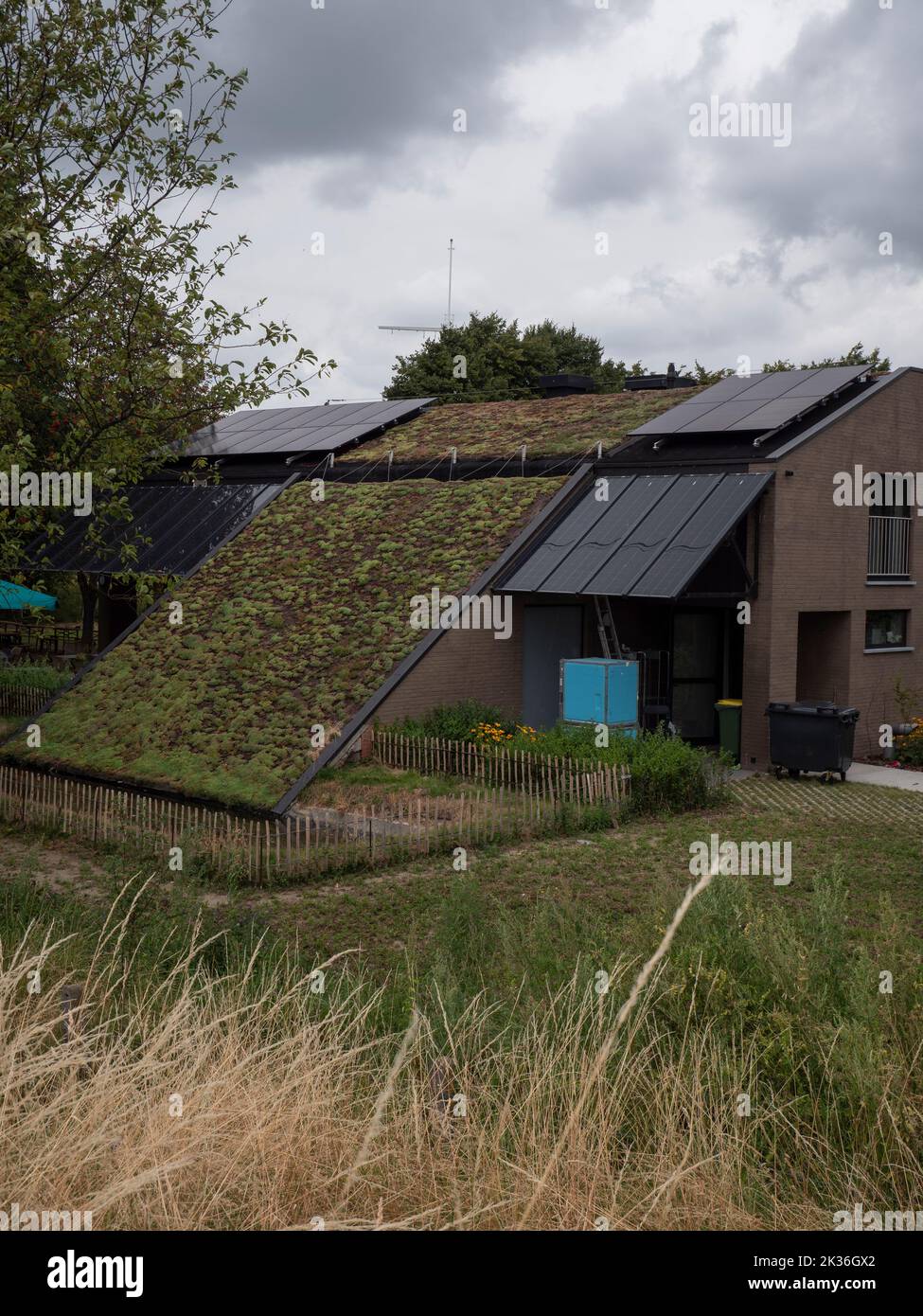 Maison avec un toit isolé par des plantes vertes et des panneaux solaires Banque D'Images
