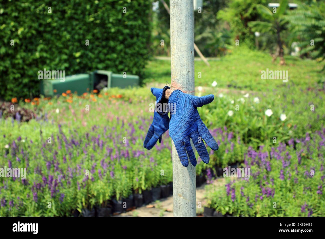 BANGKOK, THAÏLANDE - 11 MARS 2018 Queen Sirikit Park Banque D'Images