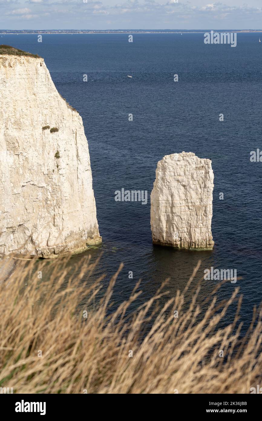 Vue sur Old Harry Rocks à Handfast point, sur l'île de Purbeck à Dorset Banque D'Images