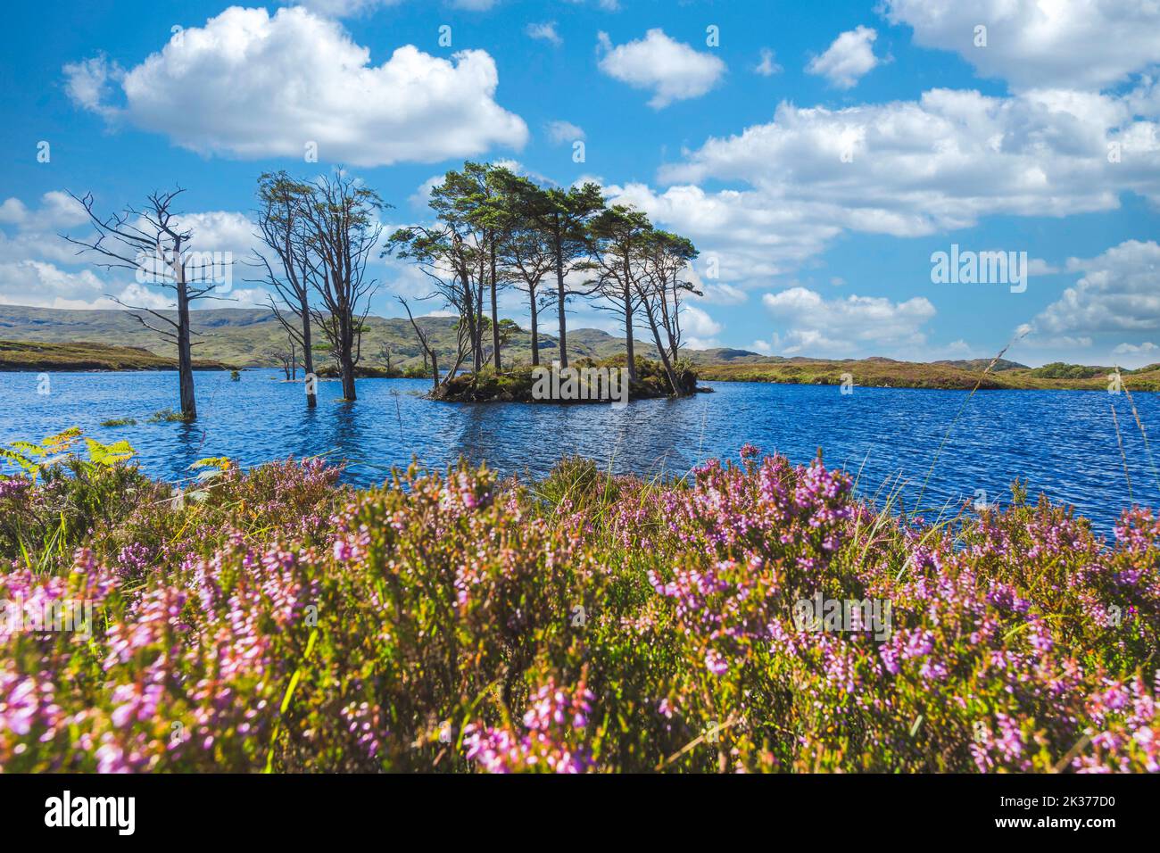 Lac avec arbres sur une île dans Scotland Highlands Banque D'Images