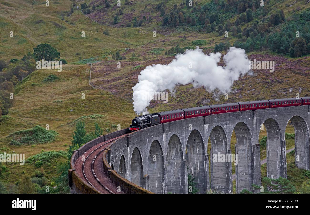 Train à vapeur Jacobite, viaduc de Glenifinnan, Lochaber, Highlands écossais, Écosse, ROYAUME-UNI Banque D'Images