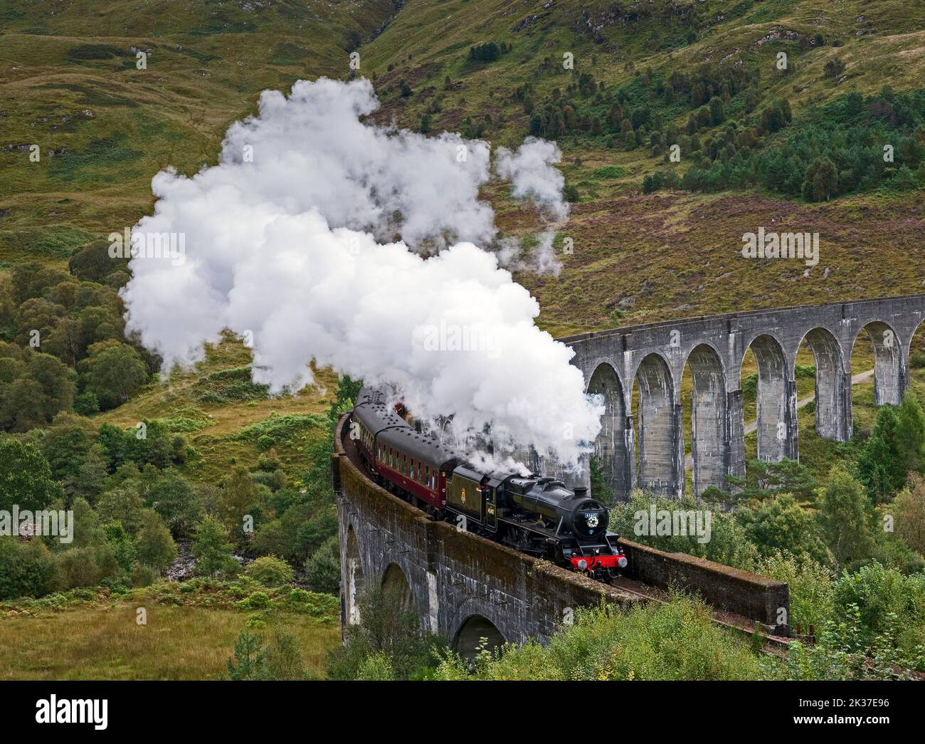 Train à vapeur Jacobite, viaduc de Glenifinnan, Lochaber, Highlands écossais, Écosse, ROYAUME-UNI Banque D'Images