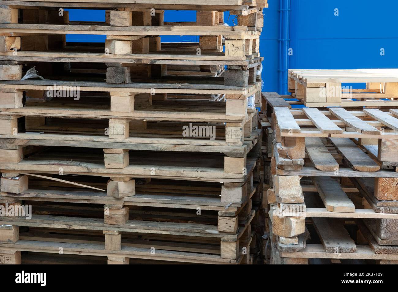 Une pile de palettes en bois contre le mur bleu Banque D'Images