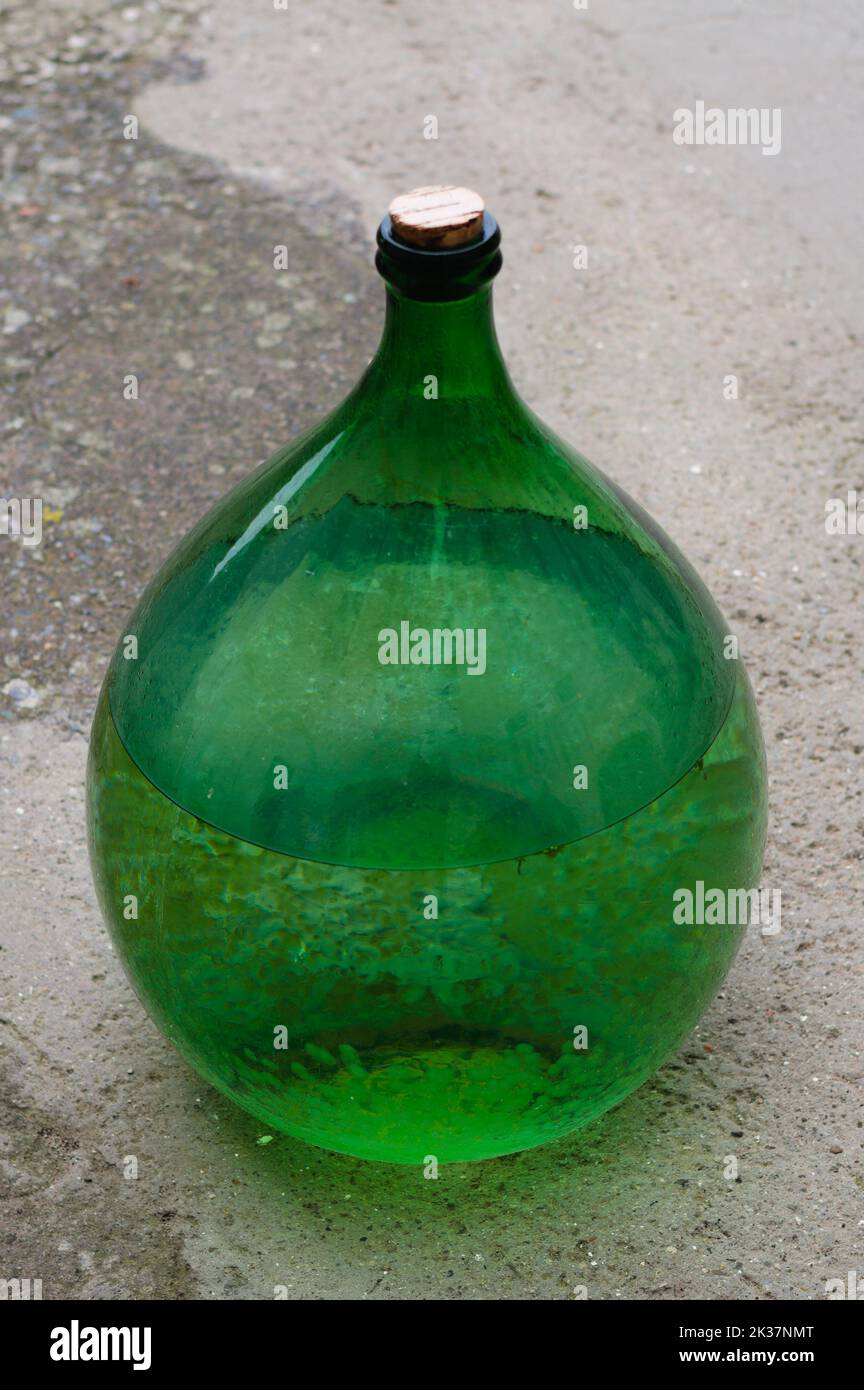 Un verre vert demijohn rempli d'eau Banque D'Images