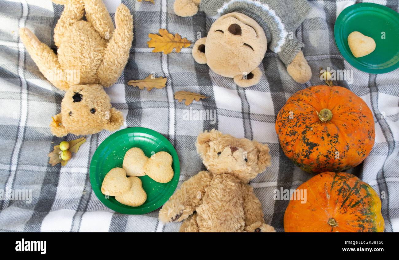 Pique-nique d'automne. Ours en peluche couchés sur une couverture à carreaux. Citrouilles, feuilles d'automne, biscuits en forme de cœur. Banque D'Images