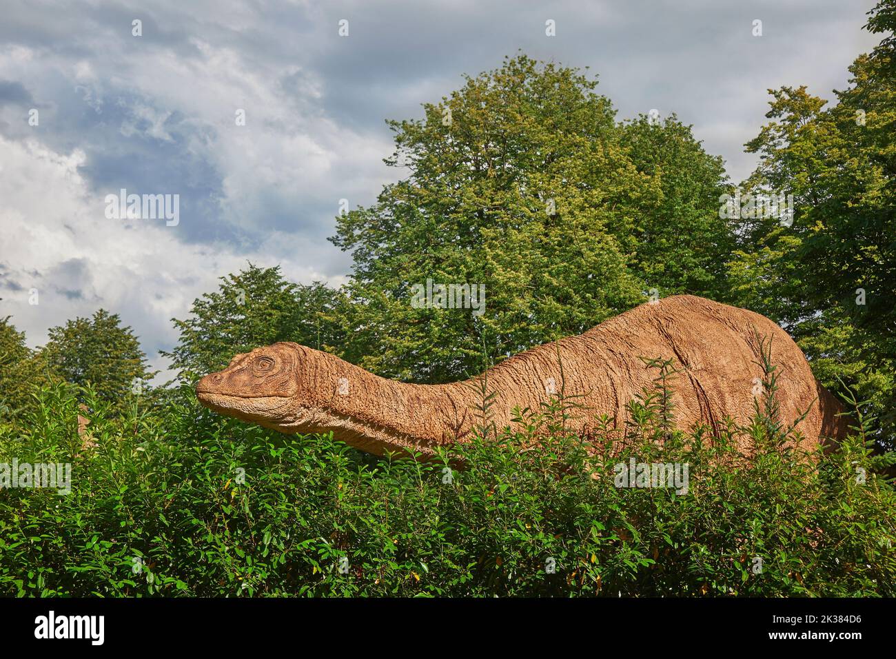 Le Brontosaurus géant au zoo danois ressemble à un véritable Banque D'Images