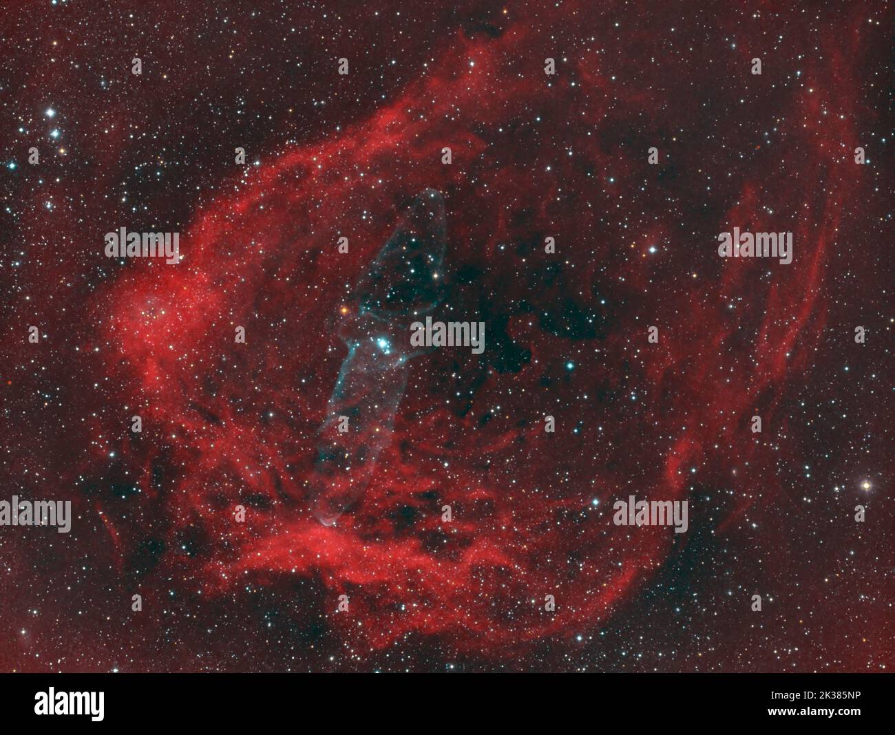 The Flying Bat & Squid Nebula - SH2-129 & OU4 Banque D'Images