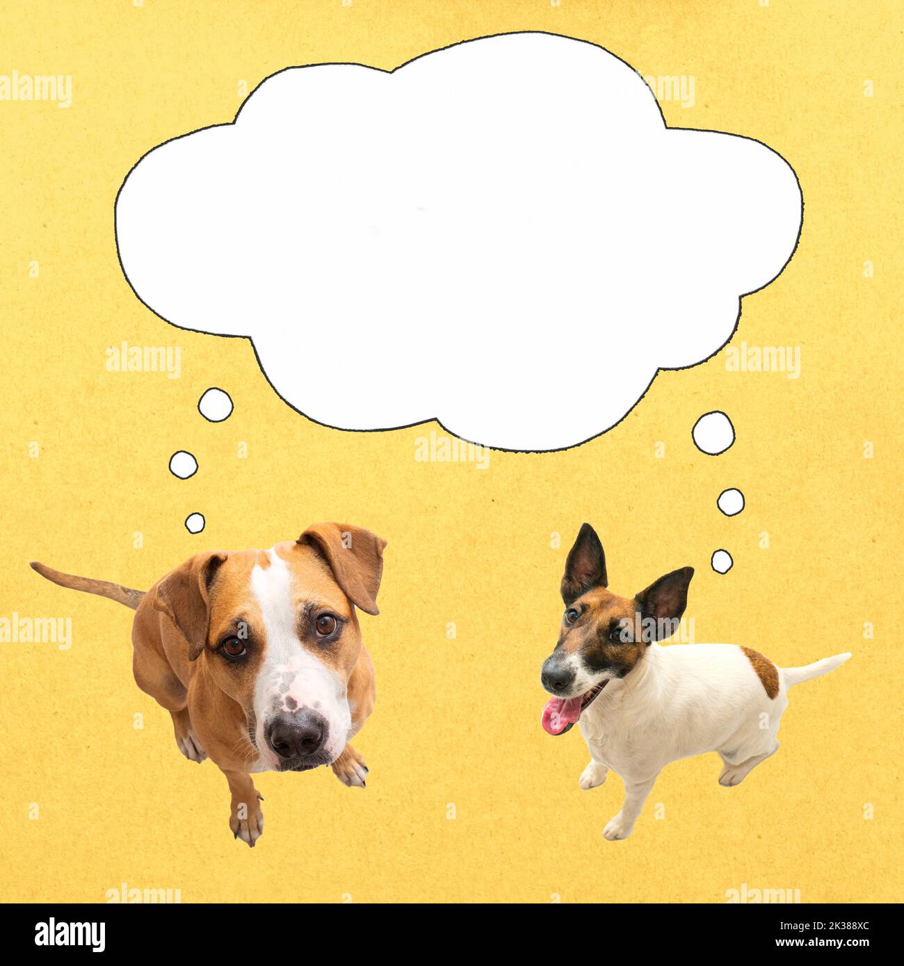 Deux chiens drôles regardant la caméra avec bulle de parole, fond jaune texturé. Collage numérique d'animaux de compagnie pensant ou demandant, concepts, espace vierge, pa Banque D'Images
