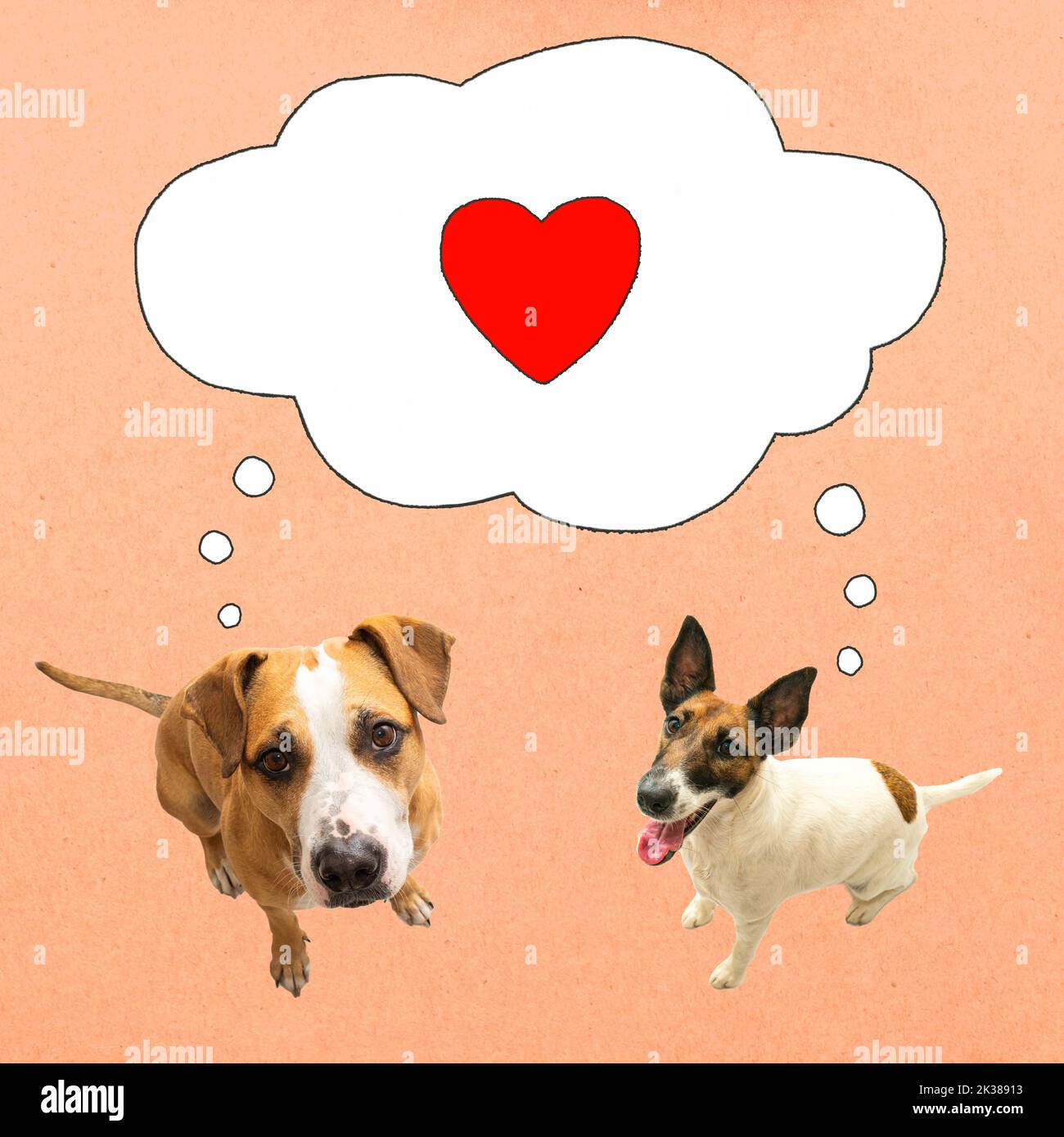 Deux chiens drôles regardant la caméra avec la bulle de la parole et le signe de l'amour, arrière-plan texturé rouge. Collage numérique d'animaux de compagnie amoureux, concept de Saint-Valentin, mu Banque D'Images
