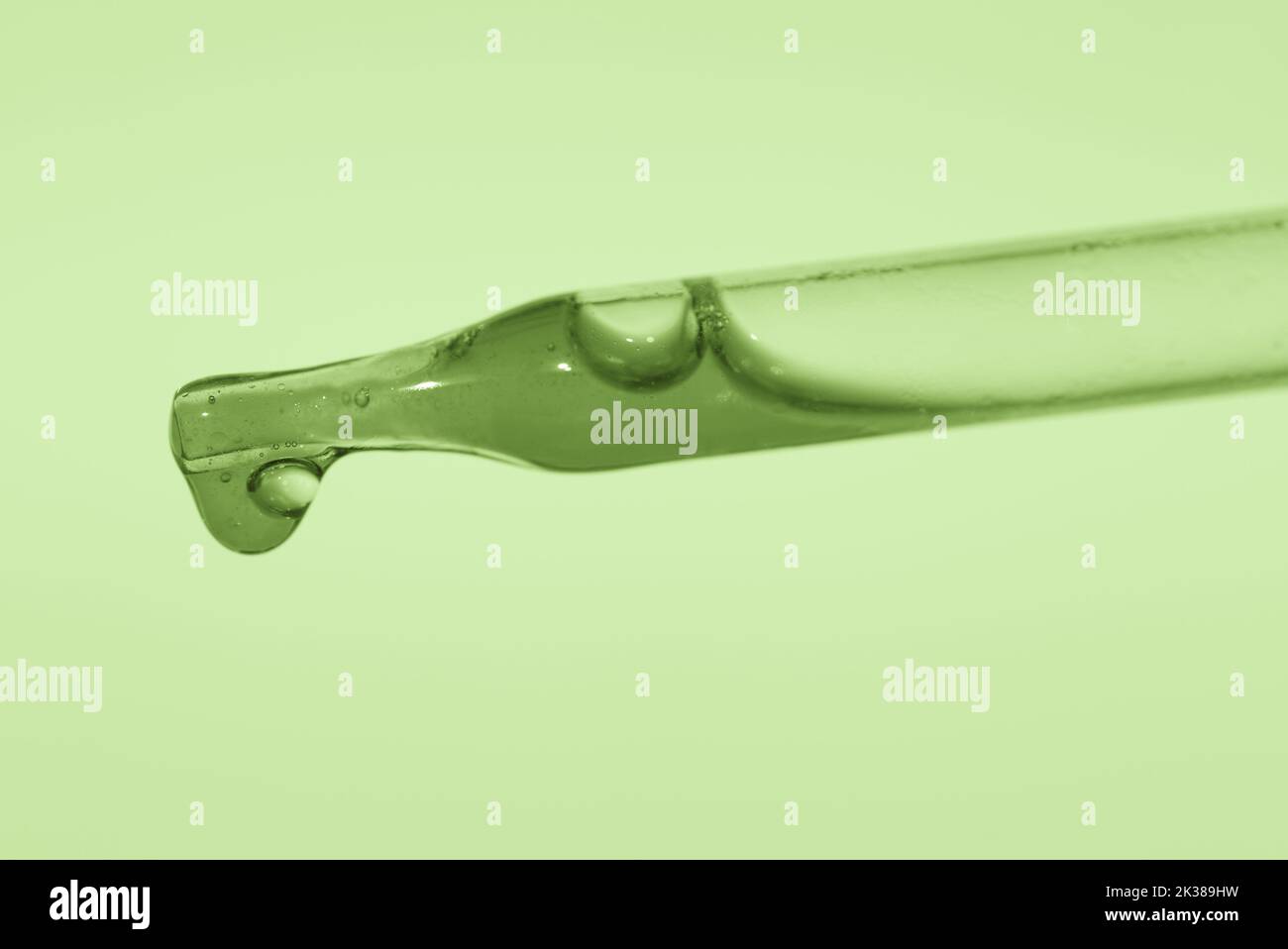 Pipeter avec l'essence d'aloe vera, jus de la plante sur fond vert. Concept cosmétique. Gros plan d'un instrument spécial. Bulle du liquide sur la pipette. Photo de haute qualité Banque D'Images Pipeter avec l'essence d'aloe vera, jus de la plante sur fond vert. Concept cosmétique. Gros plan d'un instrument spécial. Bulle du liquide sur la pipette. Photo de haute qualité Banque D'Images