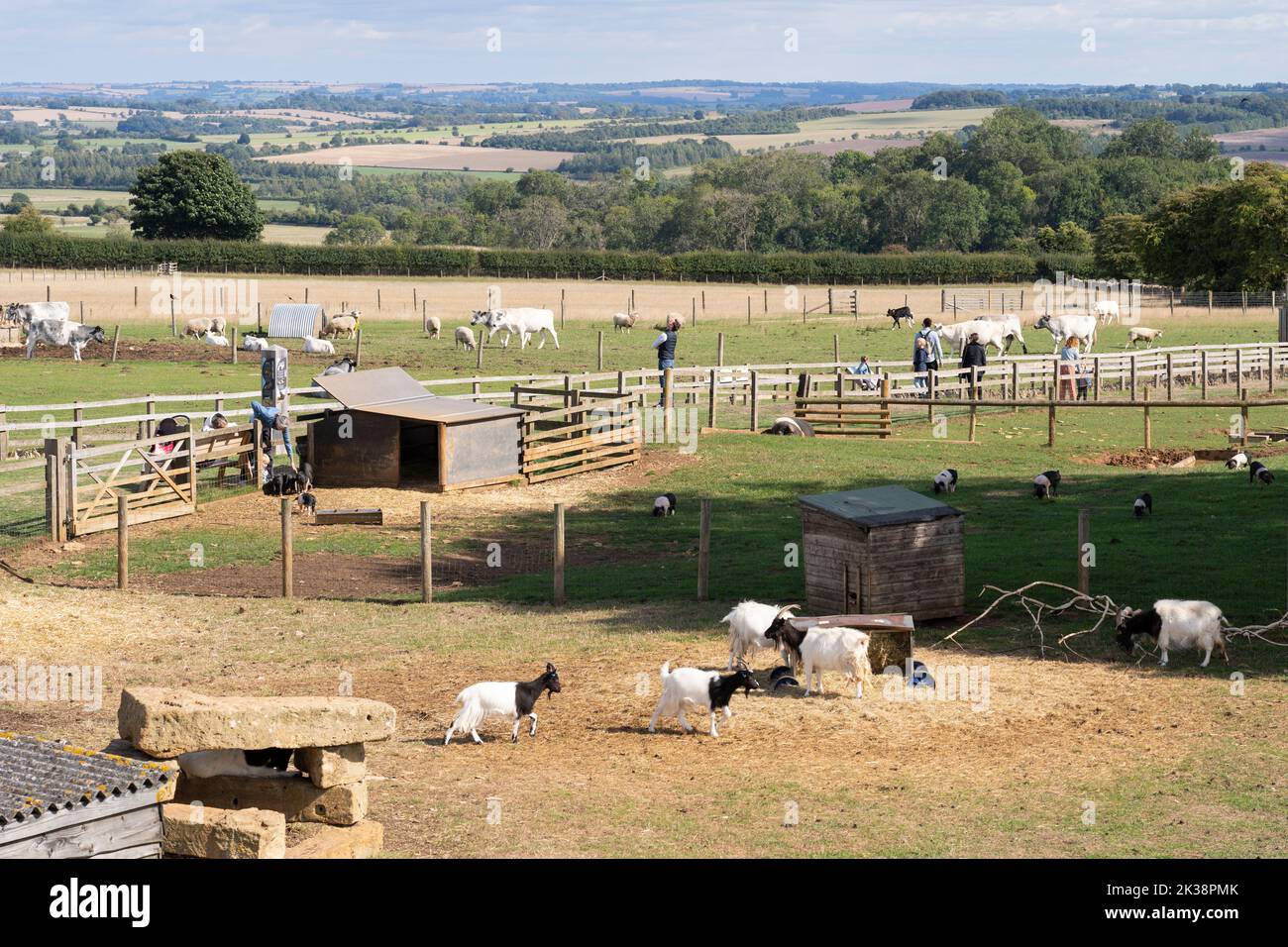 Les gens qui marchent sur le sentier des races rares avec des animaux