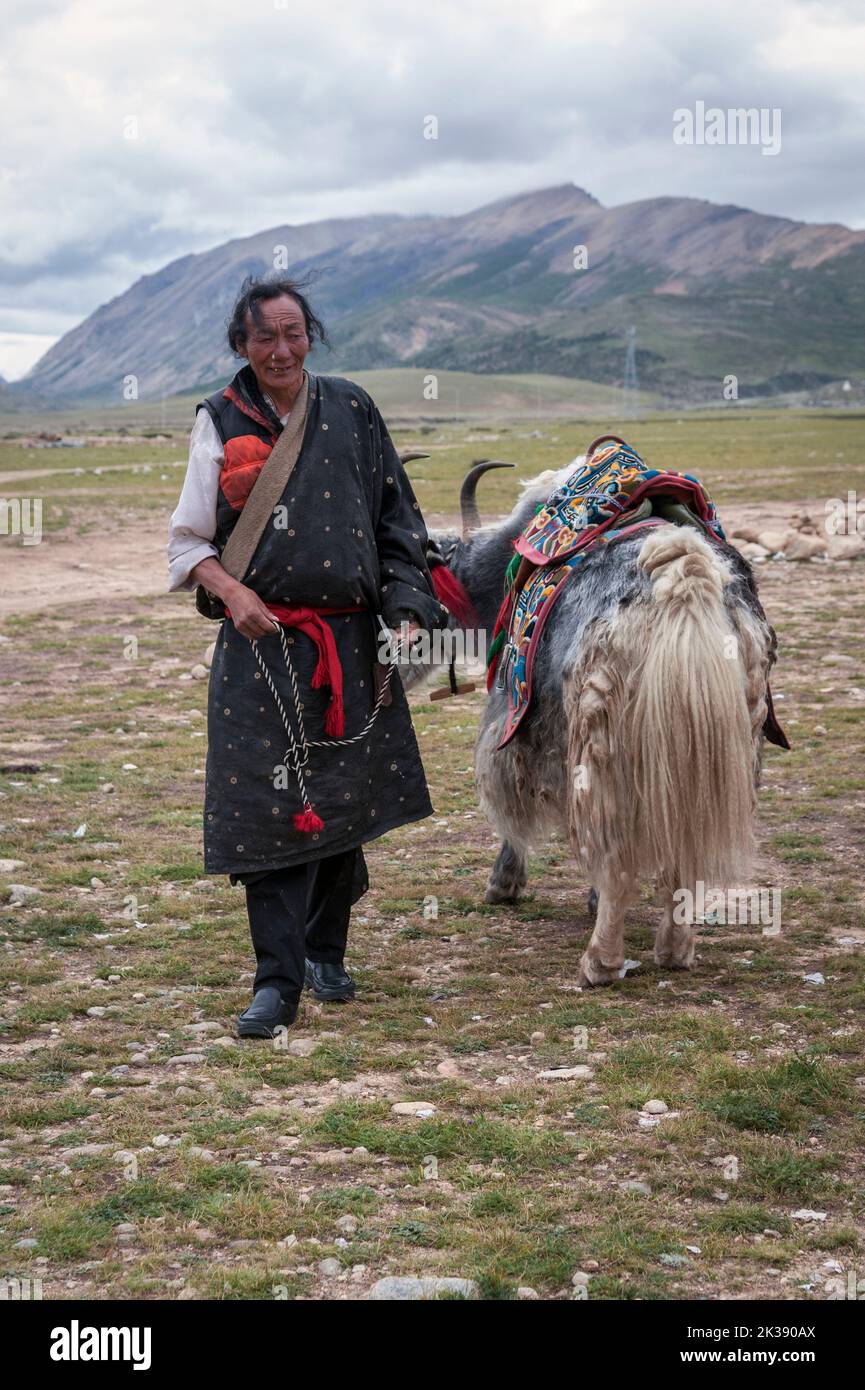 Pèlerin tibétain et yak avec selle colorée et ethnique sur une plate-forme de vue à l'est des monts Nyenchen Tangha, à Damxung, Lhassa, Tibet. Banque D'Images