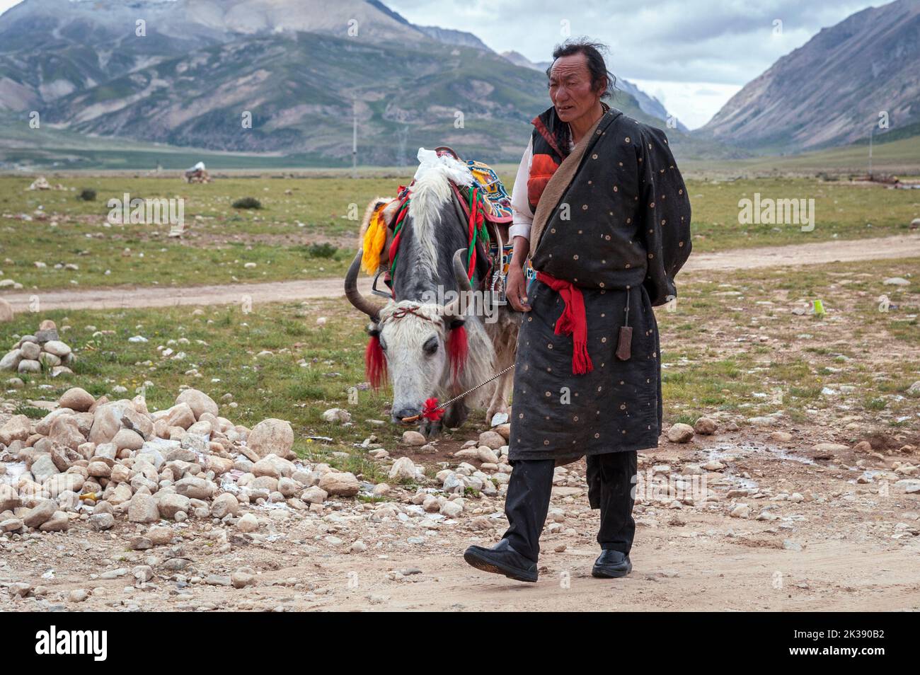 Pèlerin tibétain et yak avec selle colorée et ethnique sur une plate-forme de vue à l'est des monts Nyenchen Tangha, à Damxung, Lhassa, Tibet. Banque D'Images