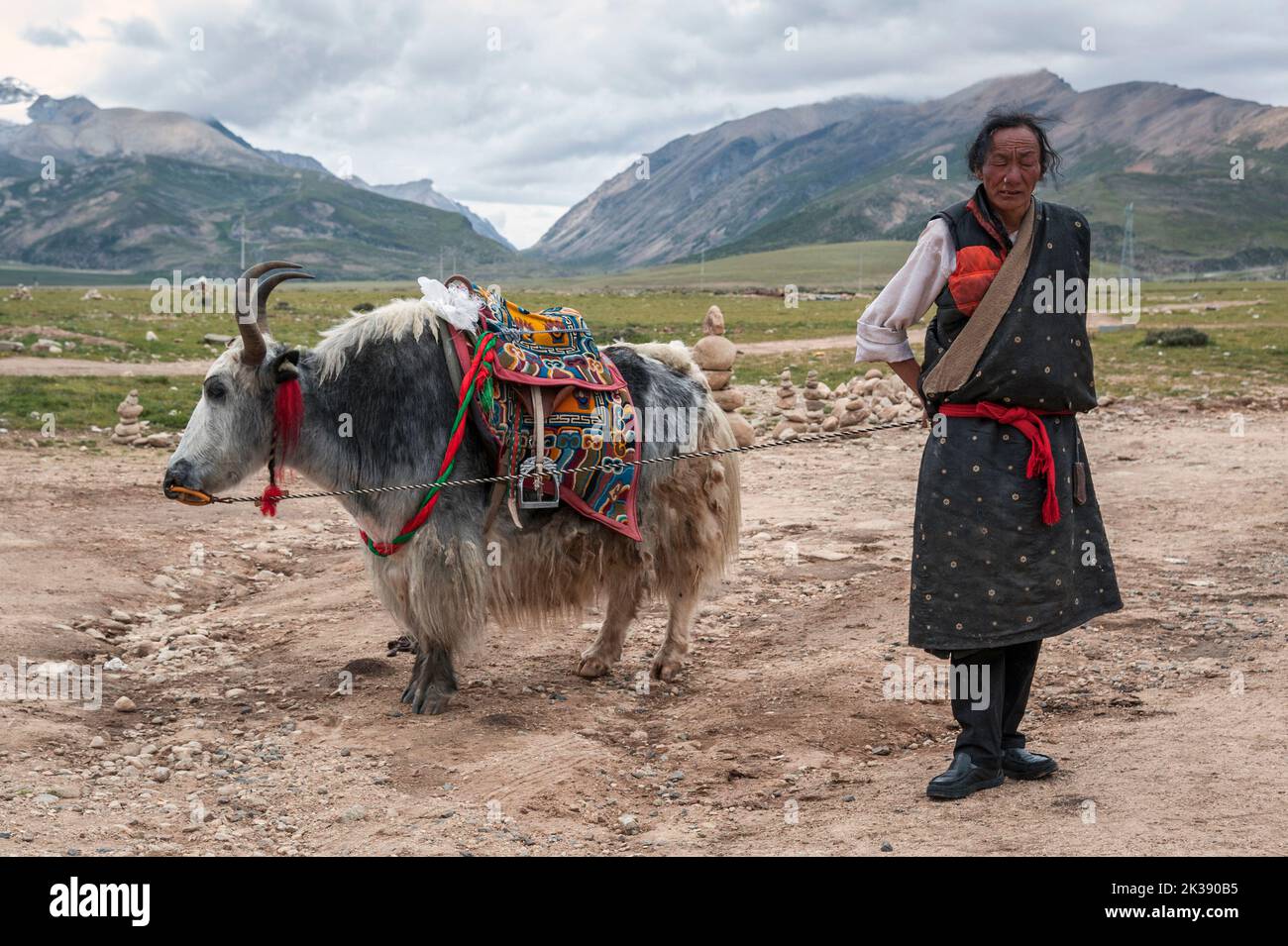 Pèlerin tibétain et yak avec selle colorée et ethnique sur une plate-forme de vue à l'est des monts Nyenchen Tangha, à Damxung, Lhassa, Tibet. Banque D'Images