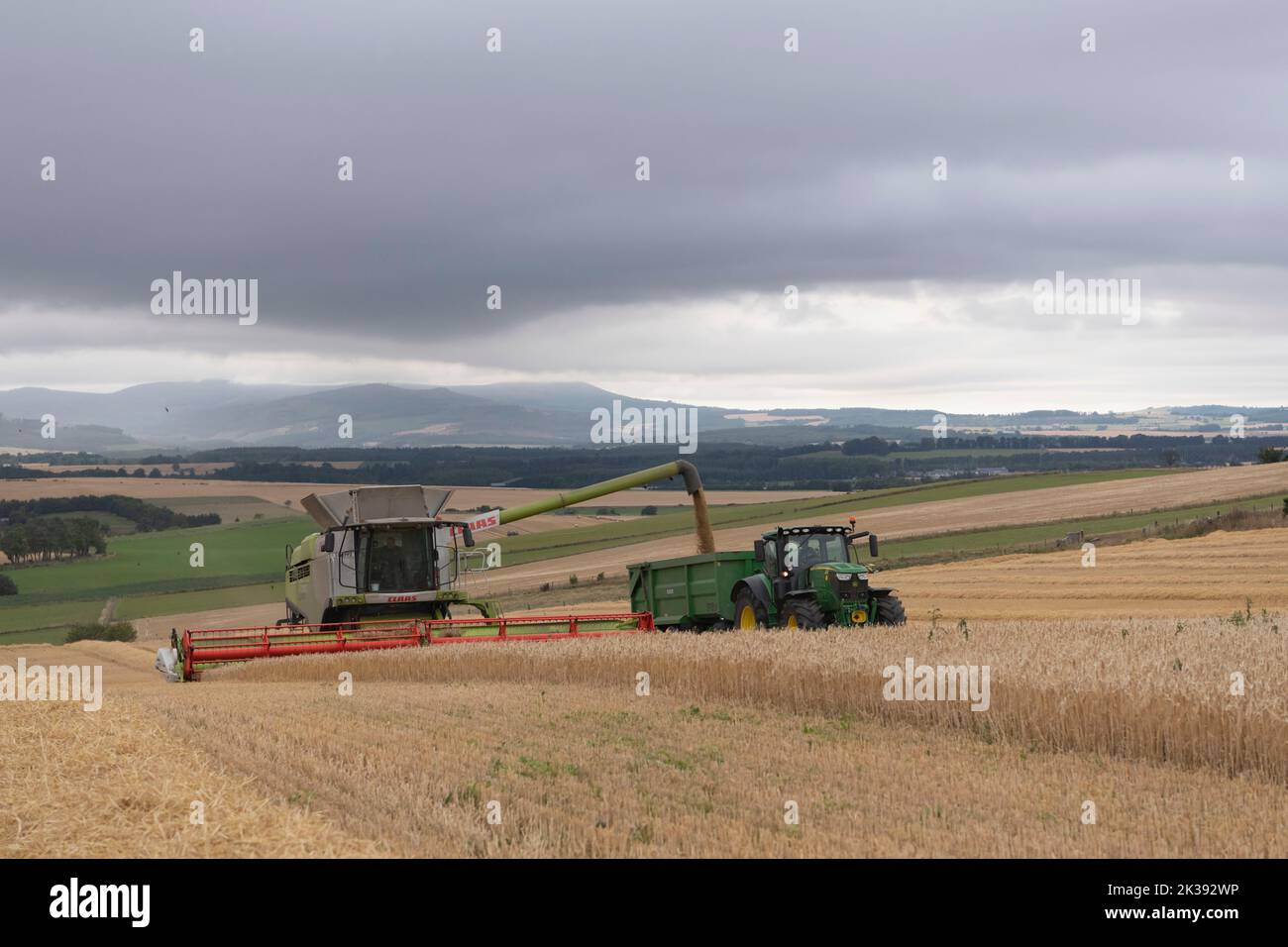 Une moissonneuse-batteuse qui charge du grain dans une remorque lorsqu'elle se dirige vers le haut d'un champ lors d'une soirée de dépassement Banque D'Images