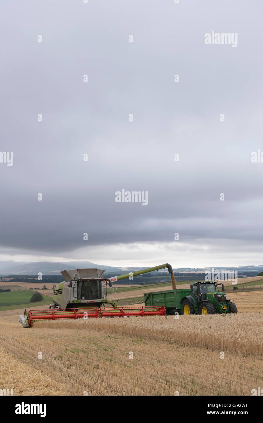 Une moissonneuse-batteuse récolte de l'orge et remplissage d'une remorque avec le grain lors d'une soirée d'été dans le nord-est de l'Écosse Banque D'Images
