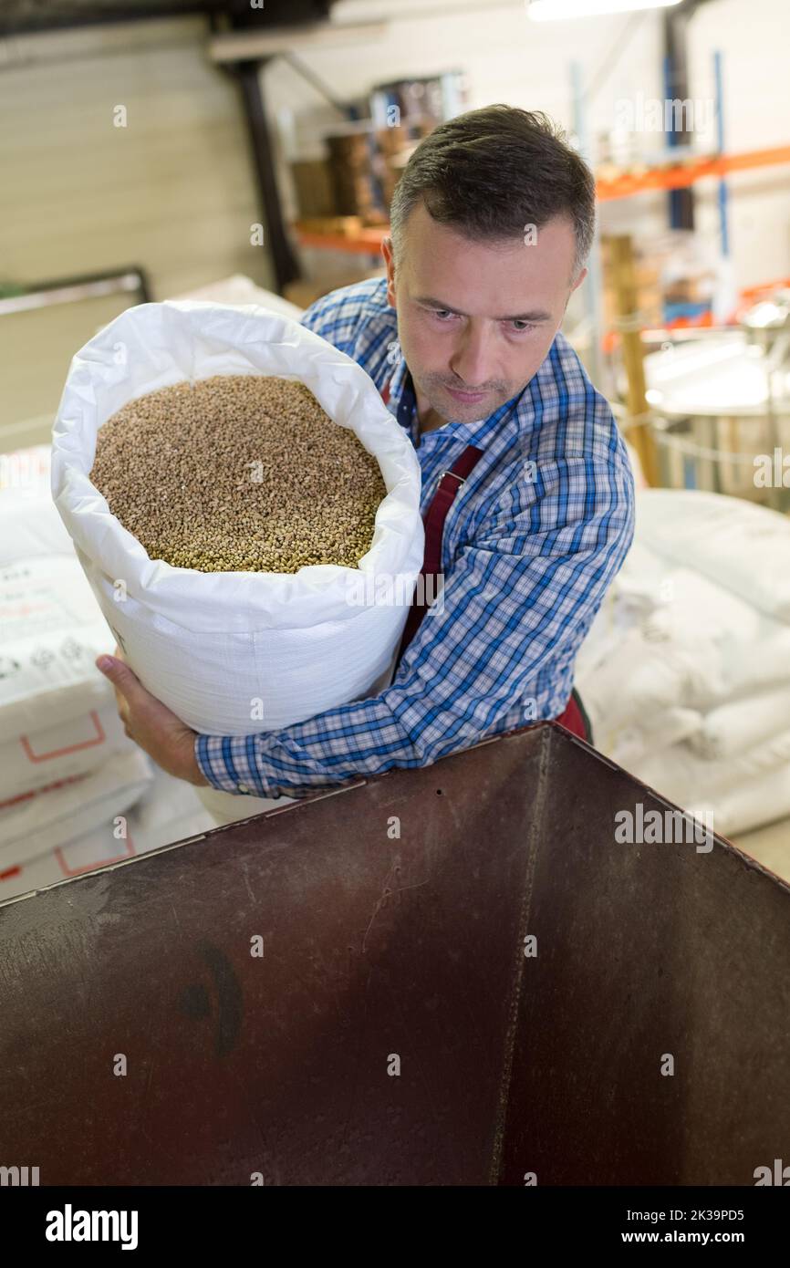 réaliser des grains de tournesol dans une machine Banque D'Images