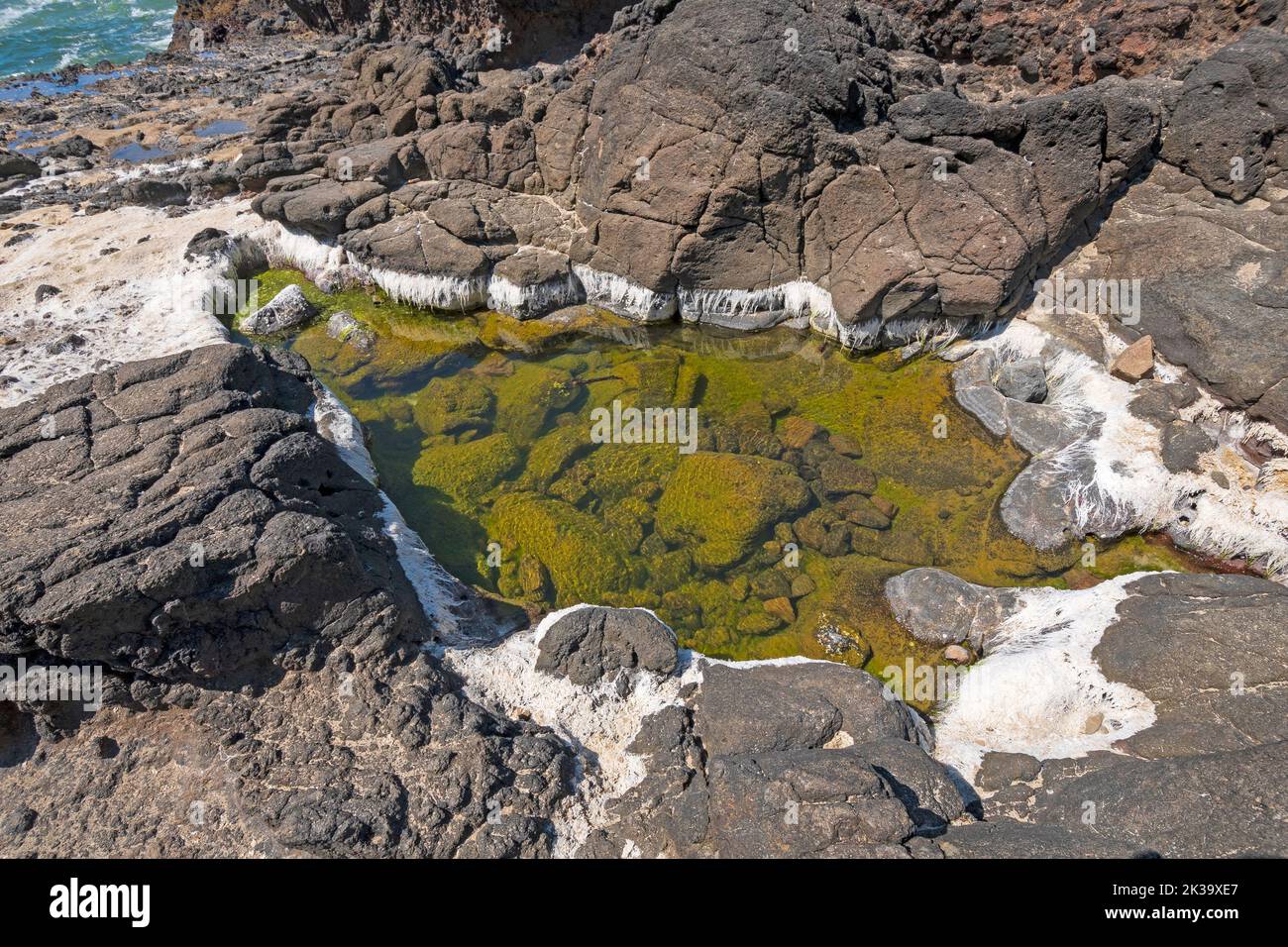 La mer blanchie par le soleil se déversait autour d'une piscine de Tide à Cape Perpetua sur la côte de l'Oregon Banque D'Images