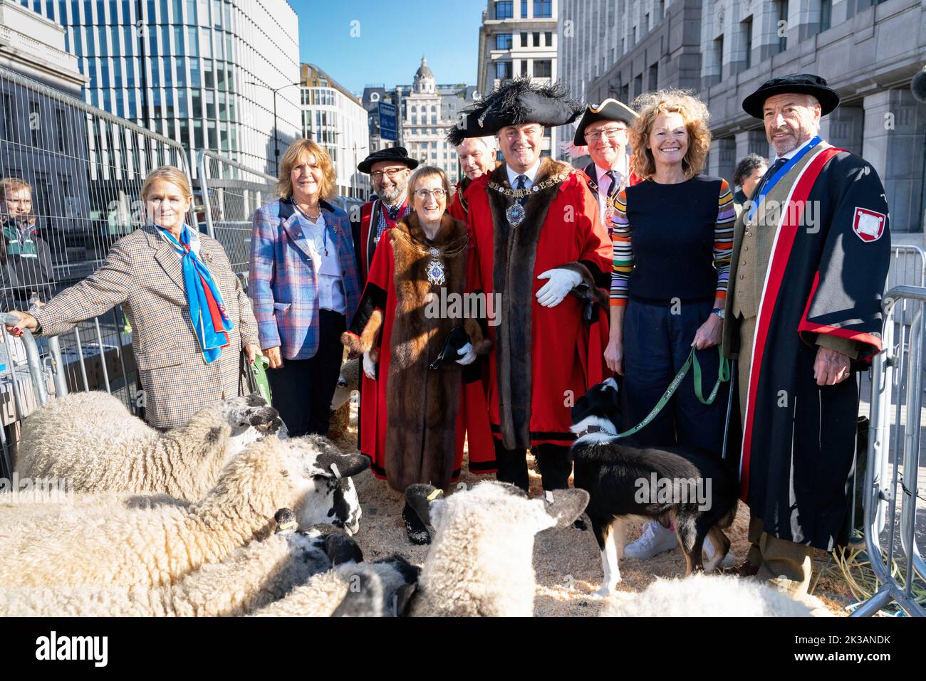 Kate humble (R2) s'est jointe au Lord Mayor de Londres Vincent Keaveny (C), ainsi qu'aux Sheriffs et Liverymen de la City de Londres dans des robes de cérémonie colorées dans un stylo de brebis sur le London Bridge. Le 10th anniversaire de la London Bridge Sheep Drive et de la foire de la Livery ont eu lieu. Kate humble connue pour BBCís Countryfile et Channel Fiveís Escape to the Farm a rejoint le Lord Mayor Vincent Keaveny et plus de 1 000 Freemen de la ville de Londres comme ils ont exercé leur ancien droit de conduire des moutons sans frais sur London Bridge.le principal sponsor de l'événement est la campagne pour Laine; un effort mondial initié b Banque D'Images