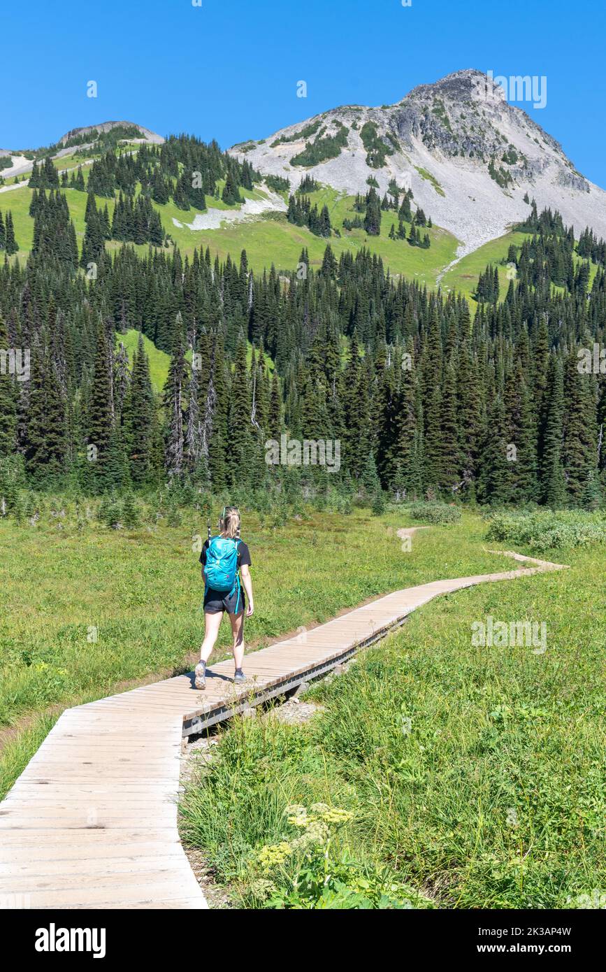 Femme marchant le long d'un sentier dans le parc provincial Garibaldi pendant une belle journée d'été avec Black Tusk Mountain en arrière-plan. Banque D'Images