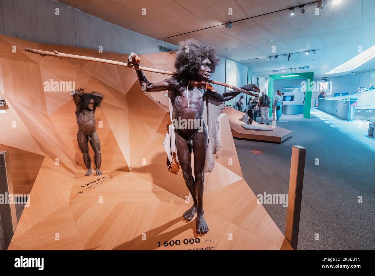 22 juillet 2022, Musée Neanderthal, Allemagne : personnages en cire détaillés d'un chasseur de garçons Homo Erectus Turkana de Kenia. Sapiens anthropologie science et theo Banque D'Images