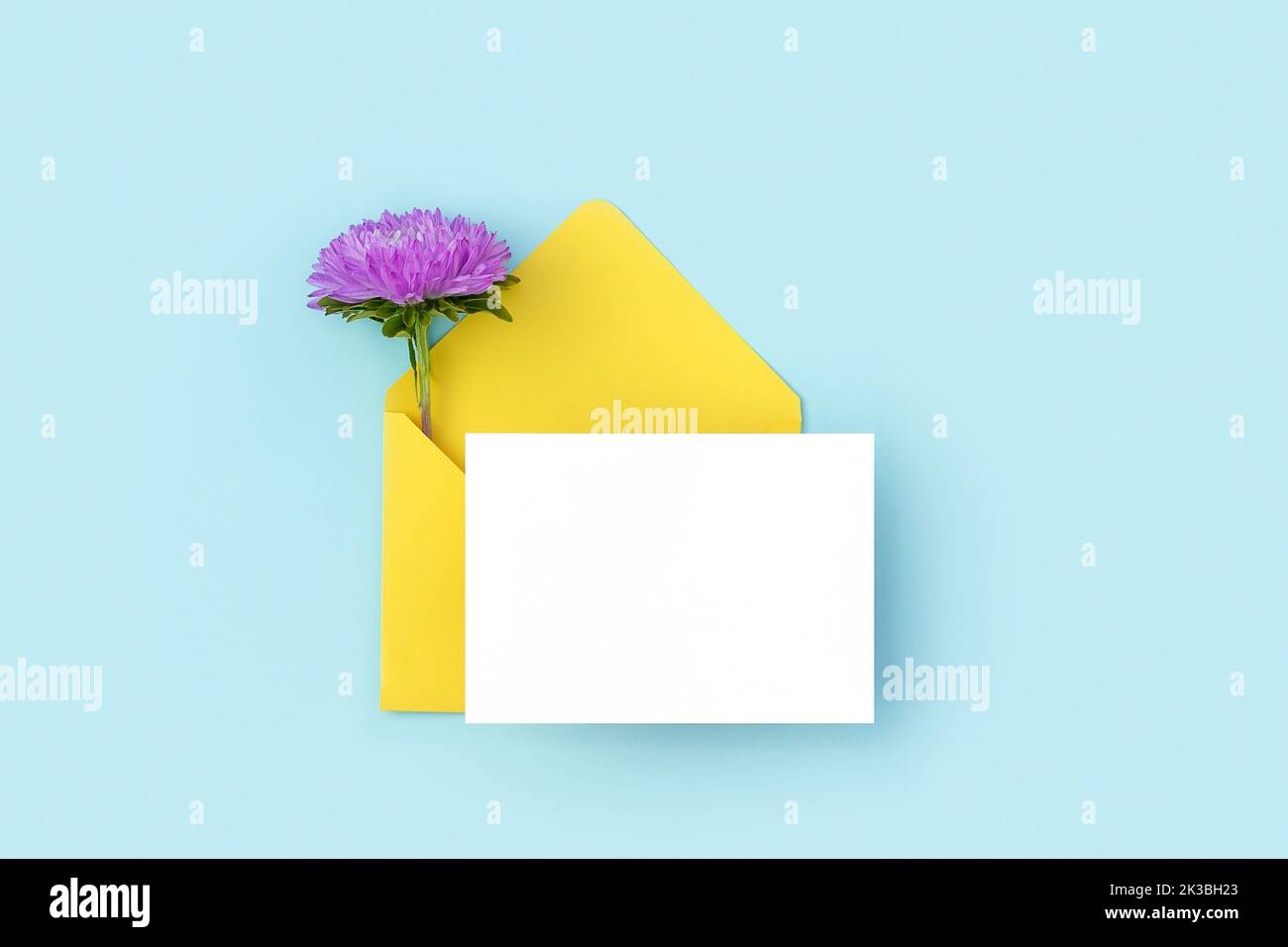 Carte blanche vierge, enveloppe jaune et fleur violette sur fond bleu. Style minimaliste. Vue de dessus maquette de Flat Lay. Banque D'Images