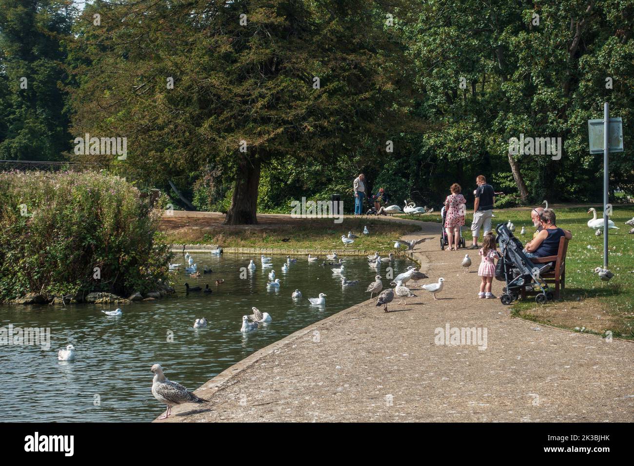 Le lac, l'abbaye de Kearsney, jardin, parc, Douvres, Kent, Angleterre Banque D'Images